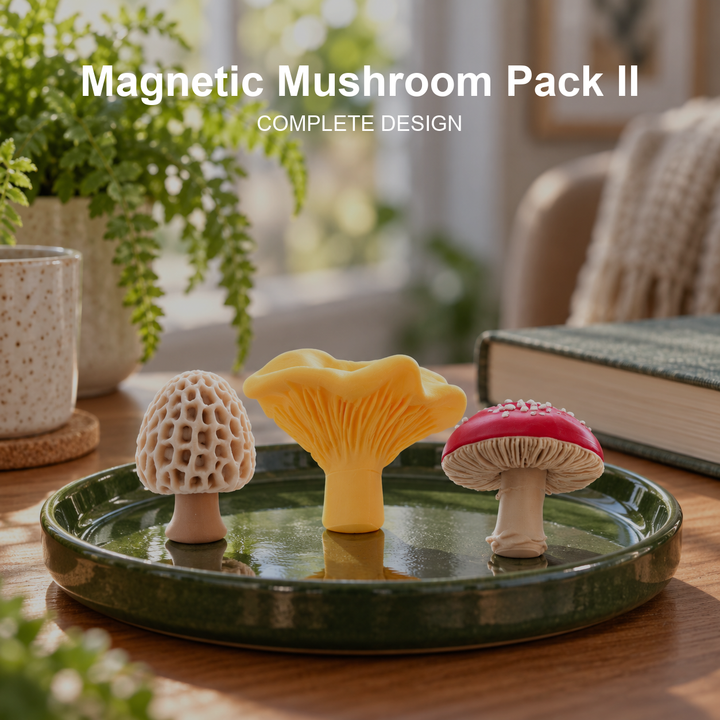 Magnetic Mushroom Pack II — Woodland Magnets — Centered complete-product hero