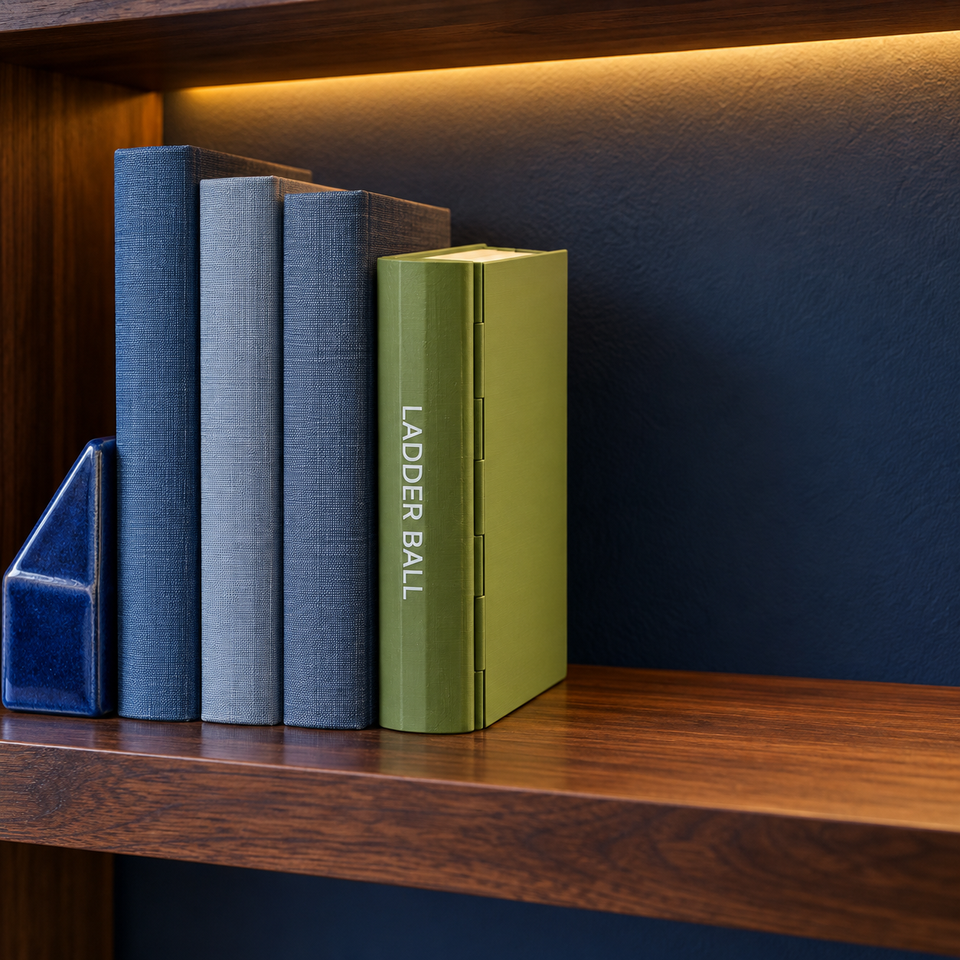 PlayBook'd Ladder Ball — Closed bookshelf storage