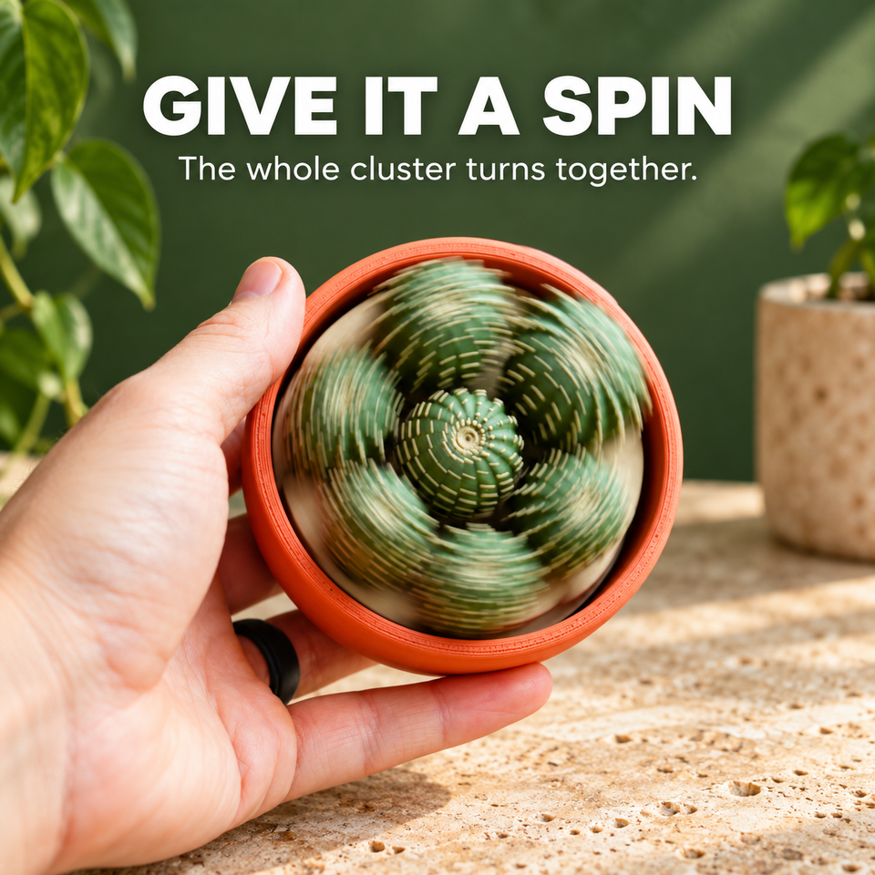 Cactus Cluster — give it a spin