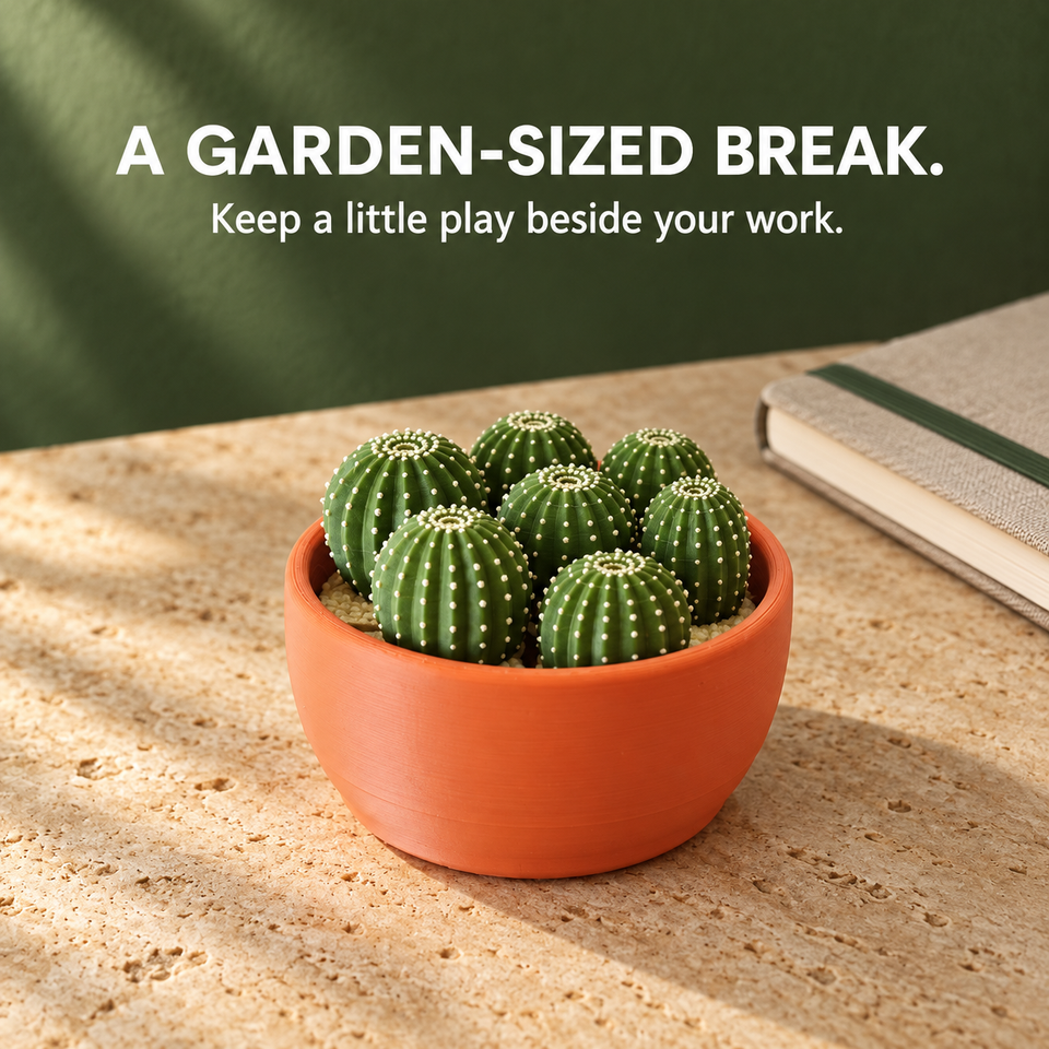 Cactus Cluster — a garden-sized break