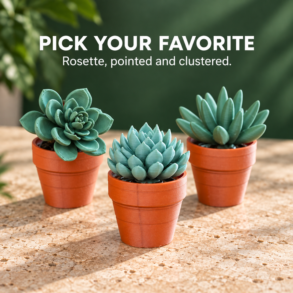 Spinny Succulents — pick your favorite