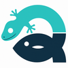 Aquireef3D