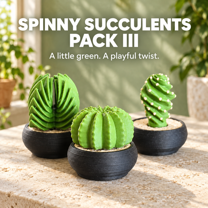 Spinny Succulents Pack III
