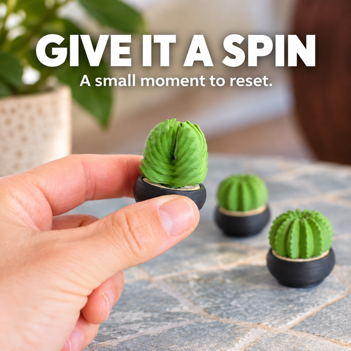 Spinny Succulents Pack III