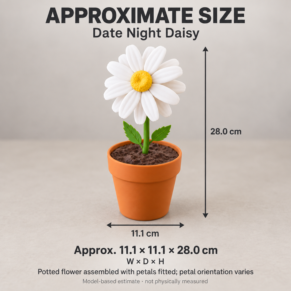 Date Night Daisy — Approximate dimensions