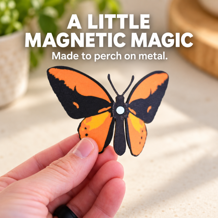 Butterfly Magnets Pack II