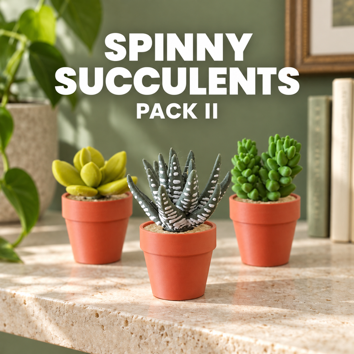 Spinny Succulents Pack II