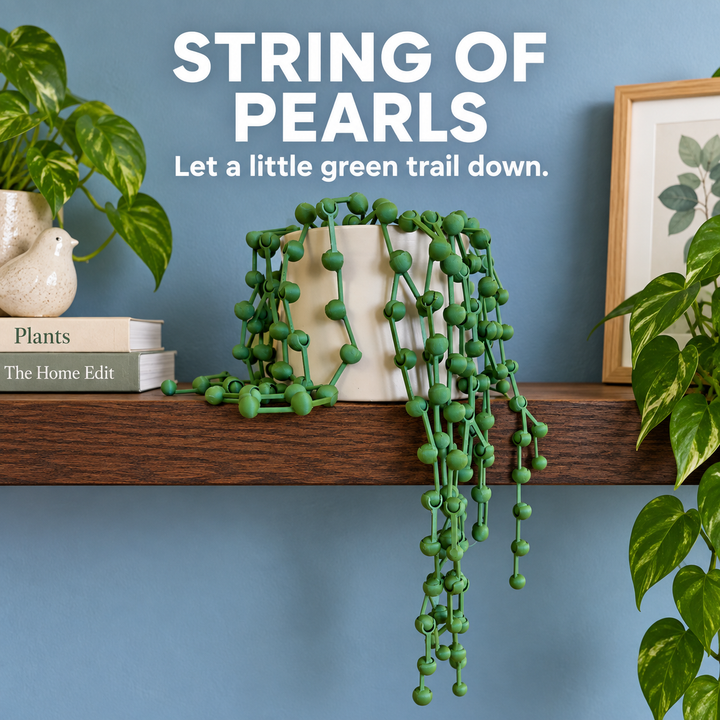 String of Pearls