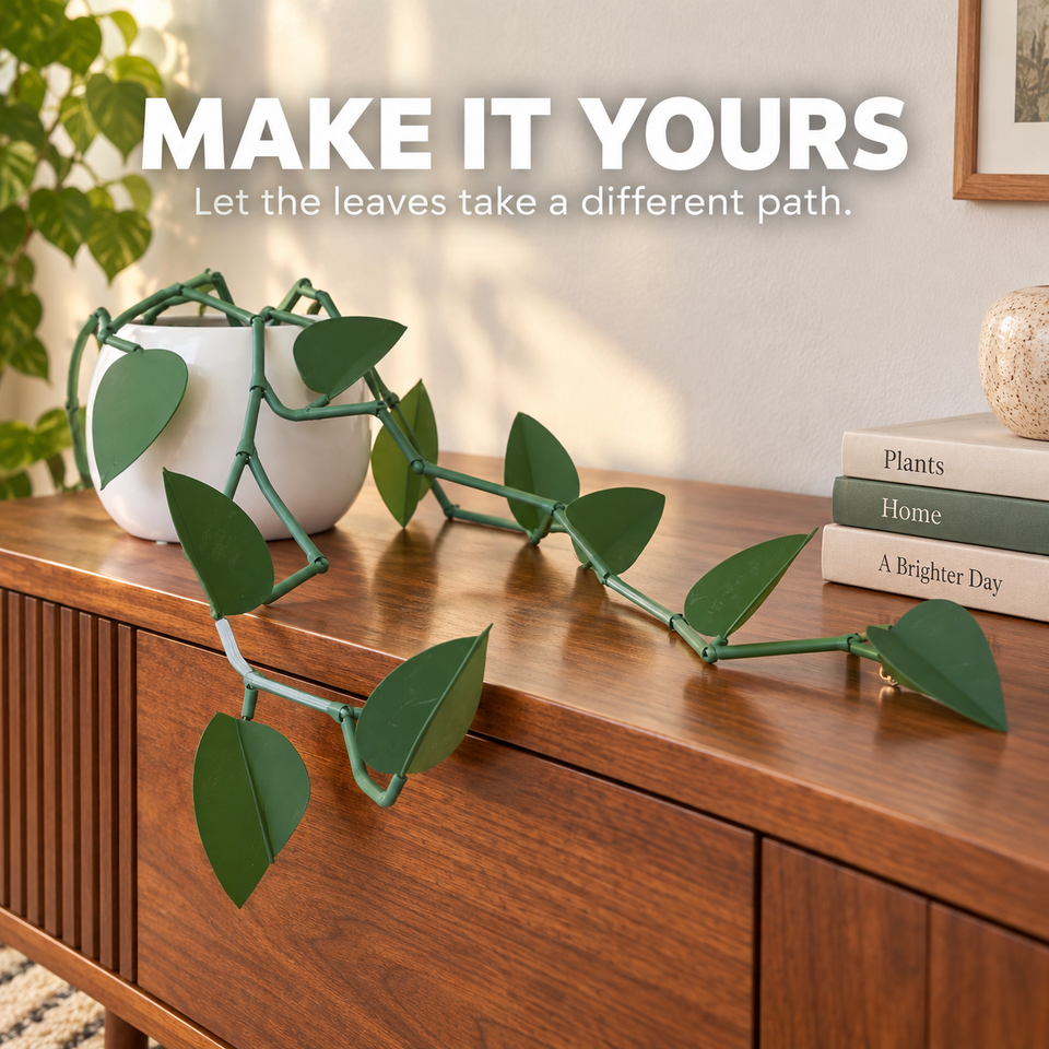 Pothos — Lifestyle or play view